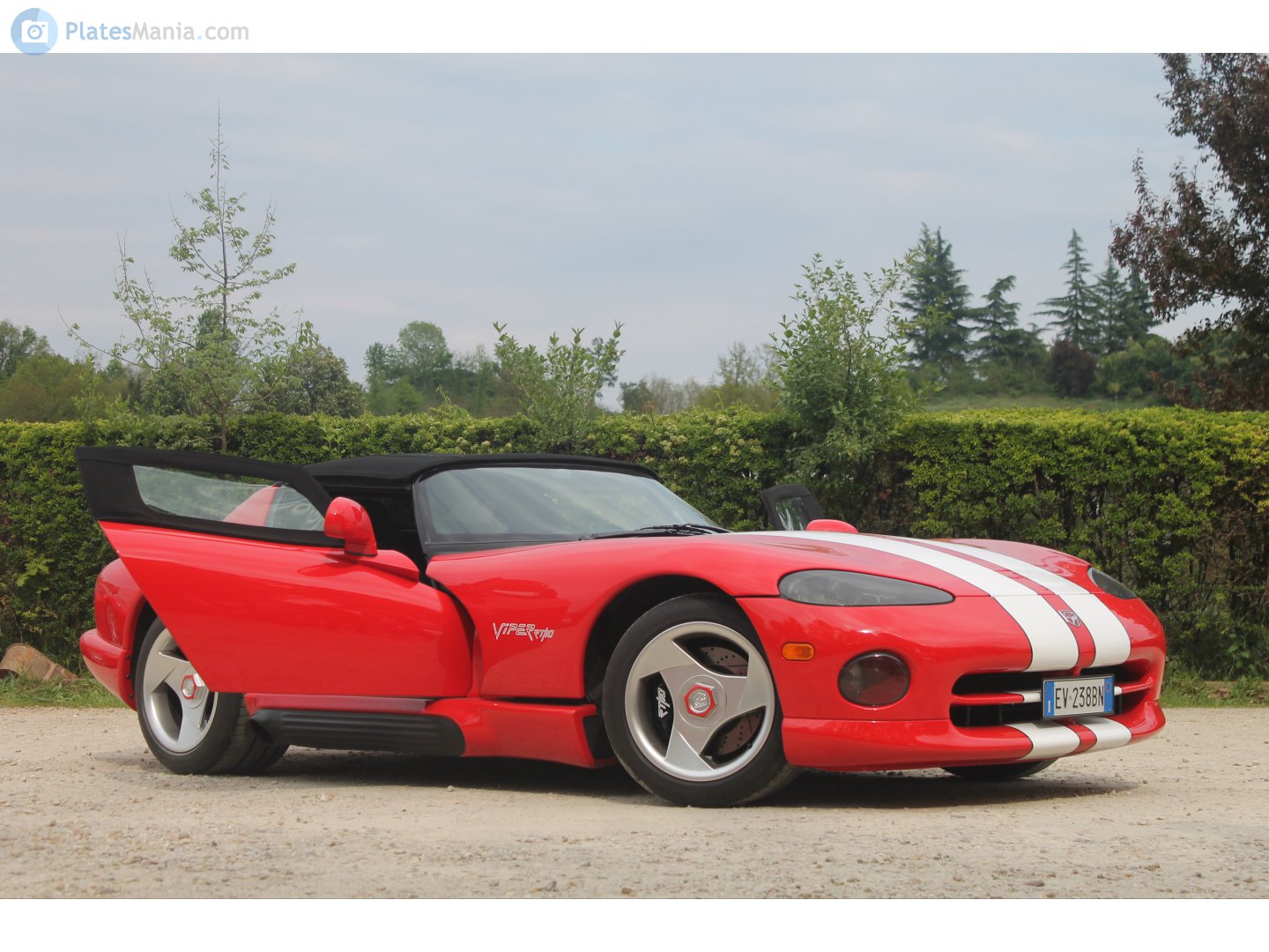 EV 238 BN, Dodge Viper 1st gen (SR I), 1991–1995