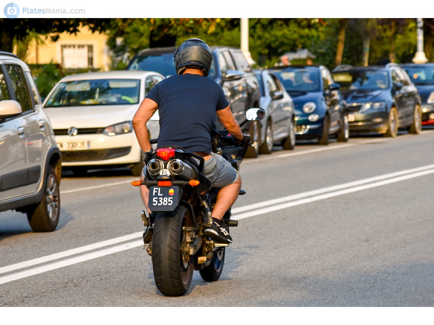FL 5385, Yamaha FZ 6 N/S Fazer, 2003–2010