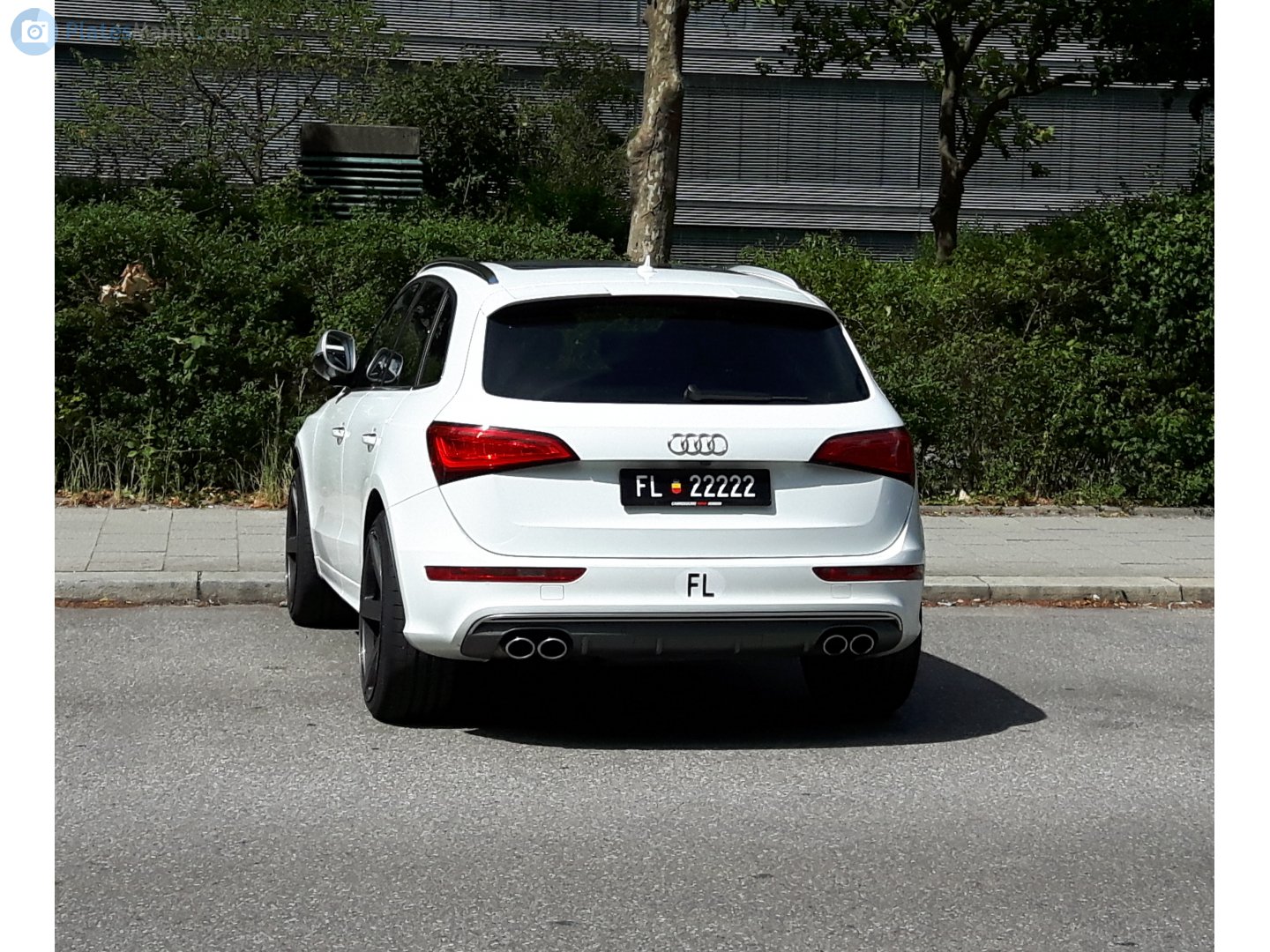 FL 22222, Audi SQ5 1st gen (8RB), 2012–2017