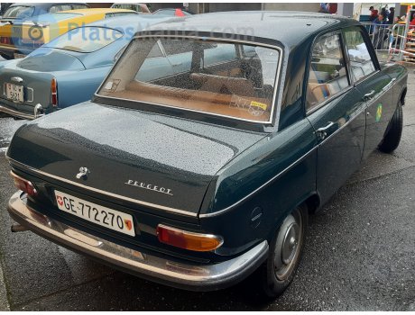 GE 772270, Peugeot 204