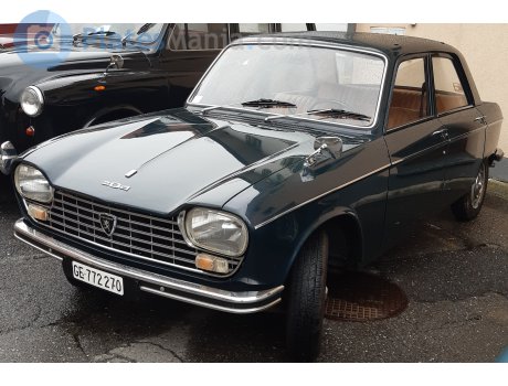GE 772270, Peugeot 204