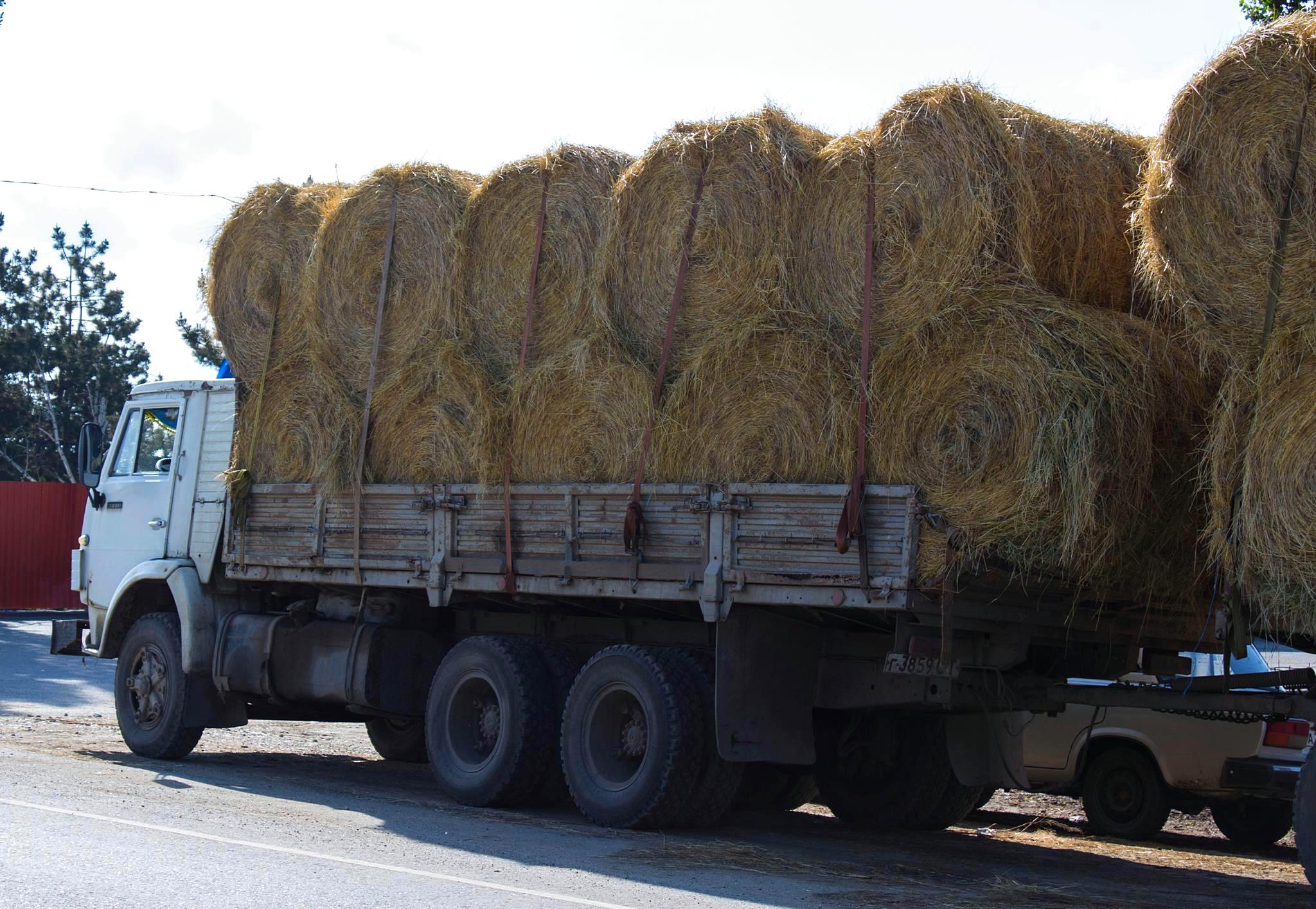 г 3859 СТ, KamAZ 5320/5321 53212, 1978–2001