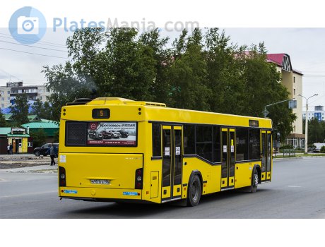 в951те186, MAZ 103