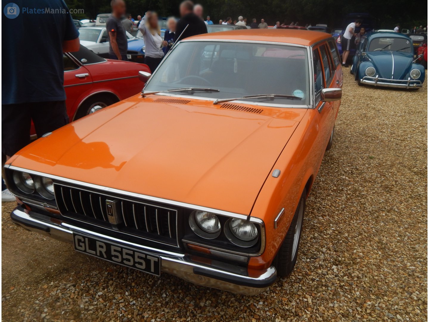 GLR555T, Datsun 180B 