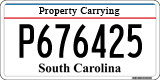 South Carolina, Property Carrying (P123456)