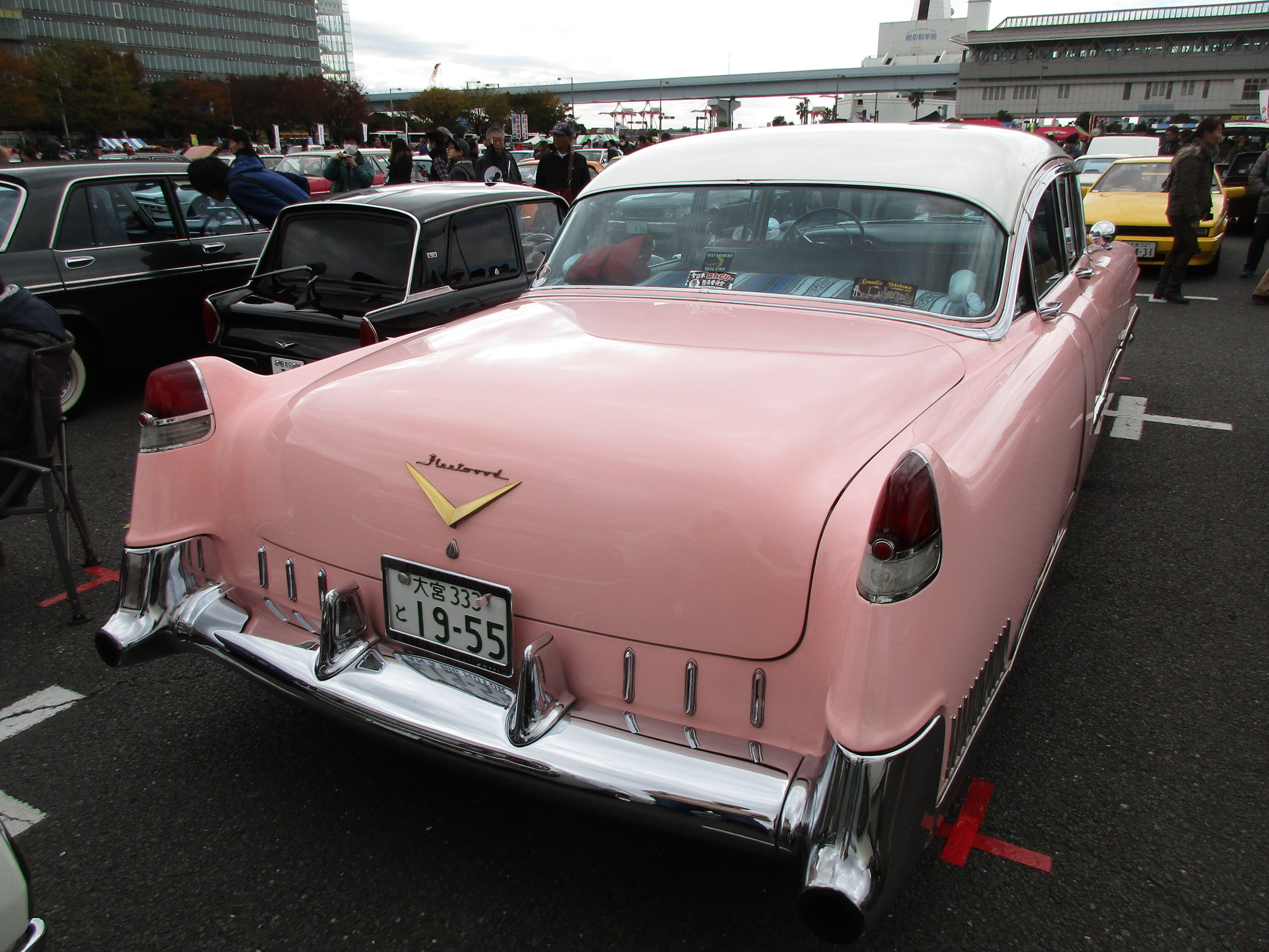 大宮 333 と 1955, Cadillac Sixty Special 5th gen 1954 (6019; C-body), 1953–1954