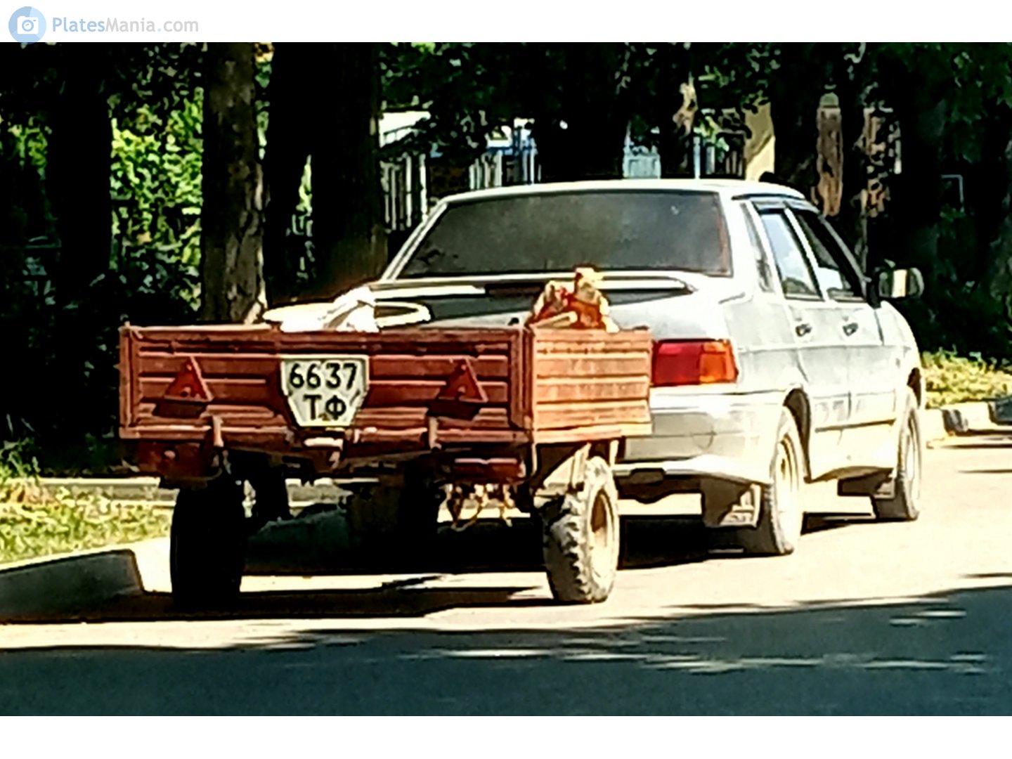 6637 ТФ, SeAZ 8129 