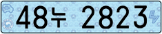 License plate of South Korea, Electric vehicles