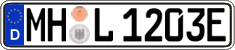 German license plate, Electric vehicles