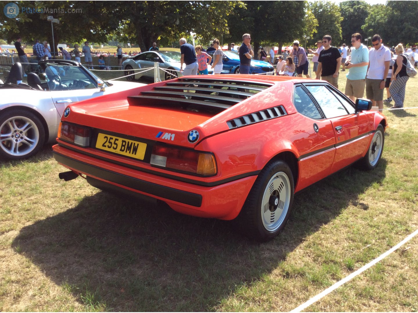 255BMW, BMW M1 1st gen (E26), 1978–1981