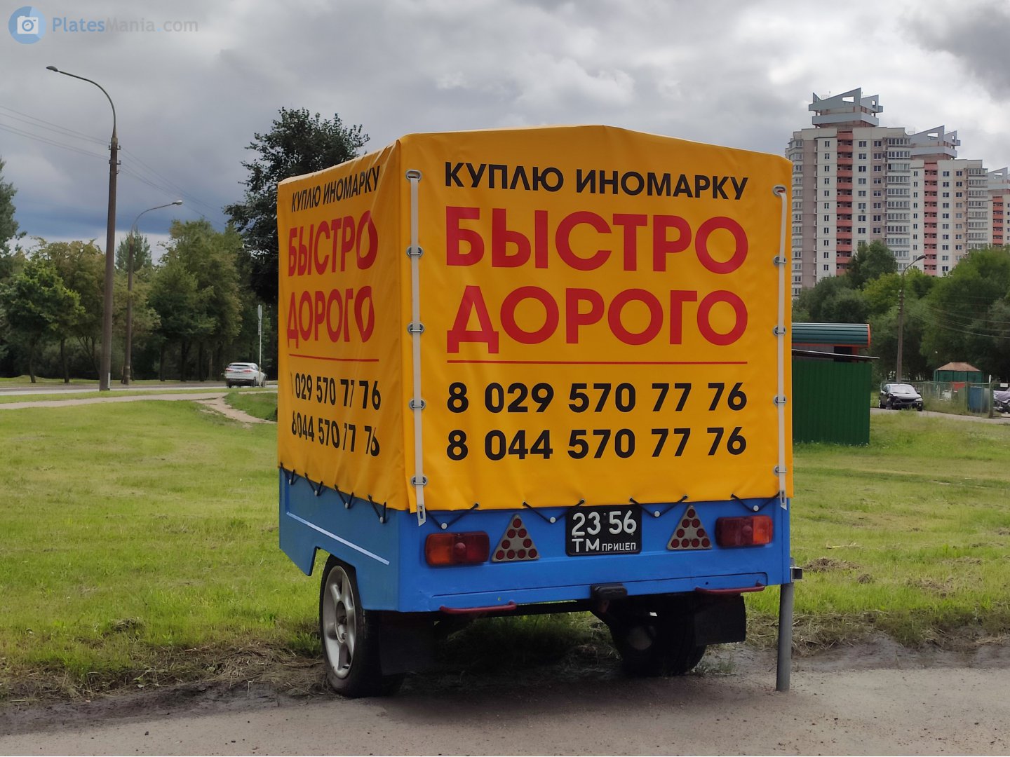 2356 ТМ, MAZ 8111/8114 