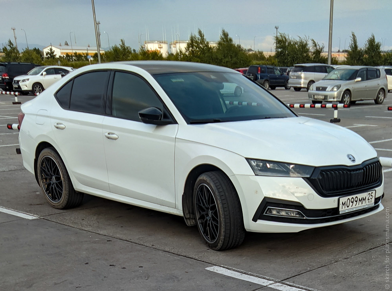 м 099 мм 25, Skoda Octavia 4th gen Liftback (NX3), 2019–2024