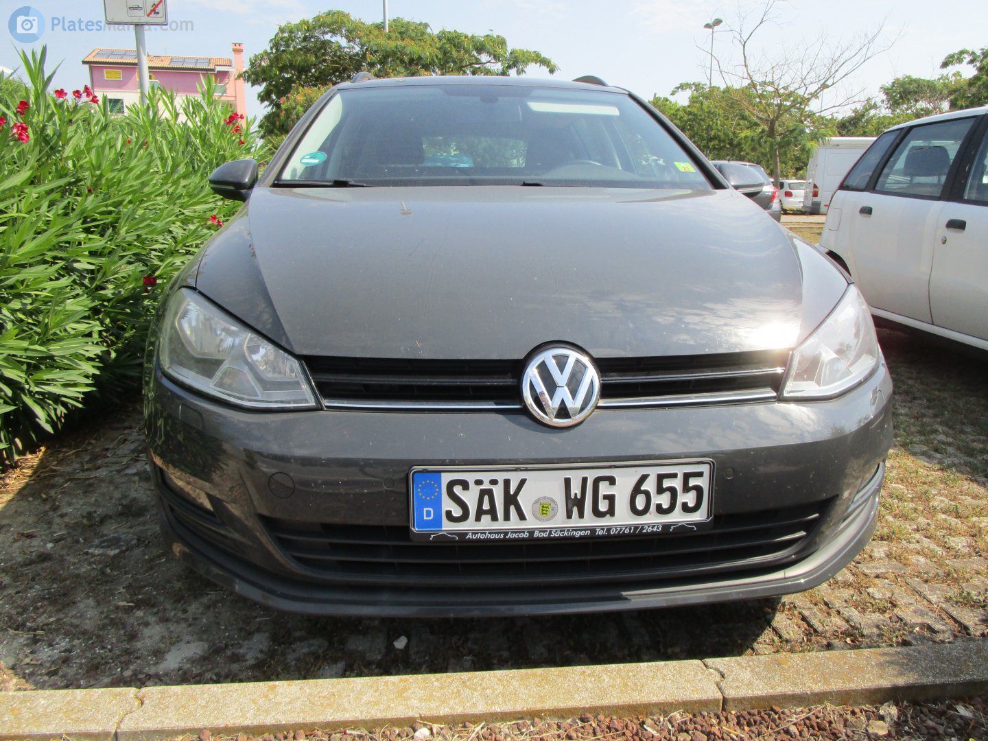 SÄK WG 655, Volkswagen Golf 7th gen Variant (5G), 2013–2020