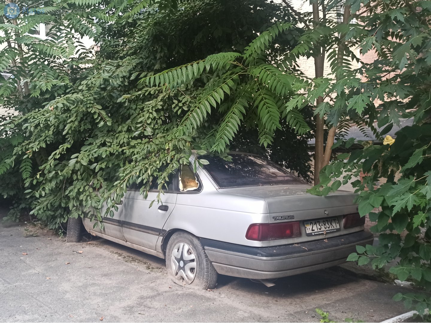 11 213-83 KT, Ford Taurus 1st gen Sedan (54D; DN5), 1985–1991