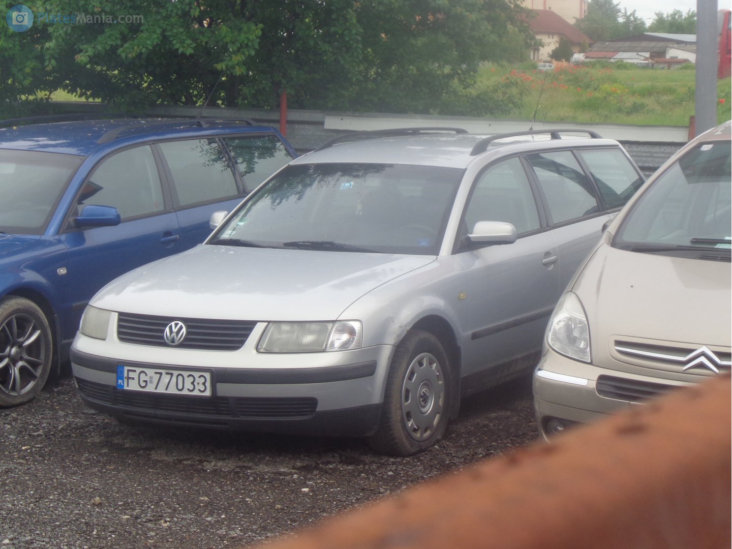 FG 77033, Volkswagen Passat 5th gen Variant (B5; 3B), 1996–2000