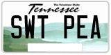 Tennessee, Vanity Plates