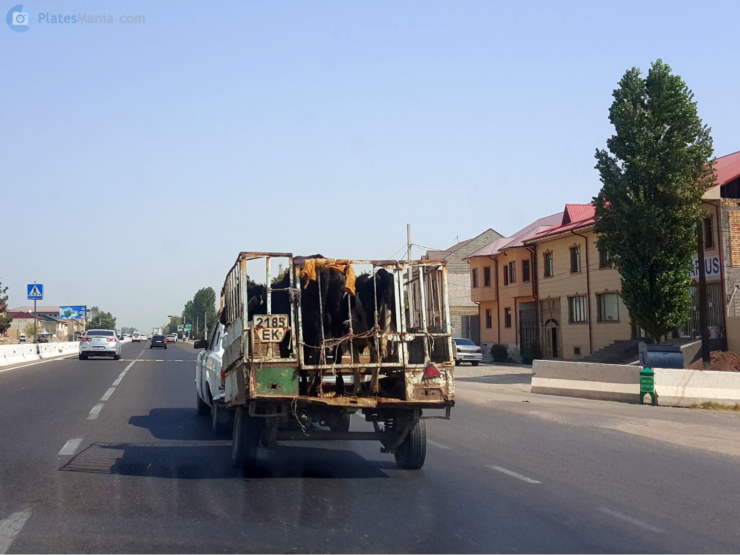 2185 ЕК, Trailers (1977) 