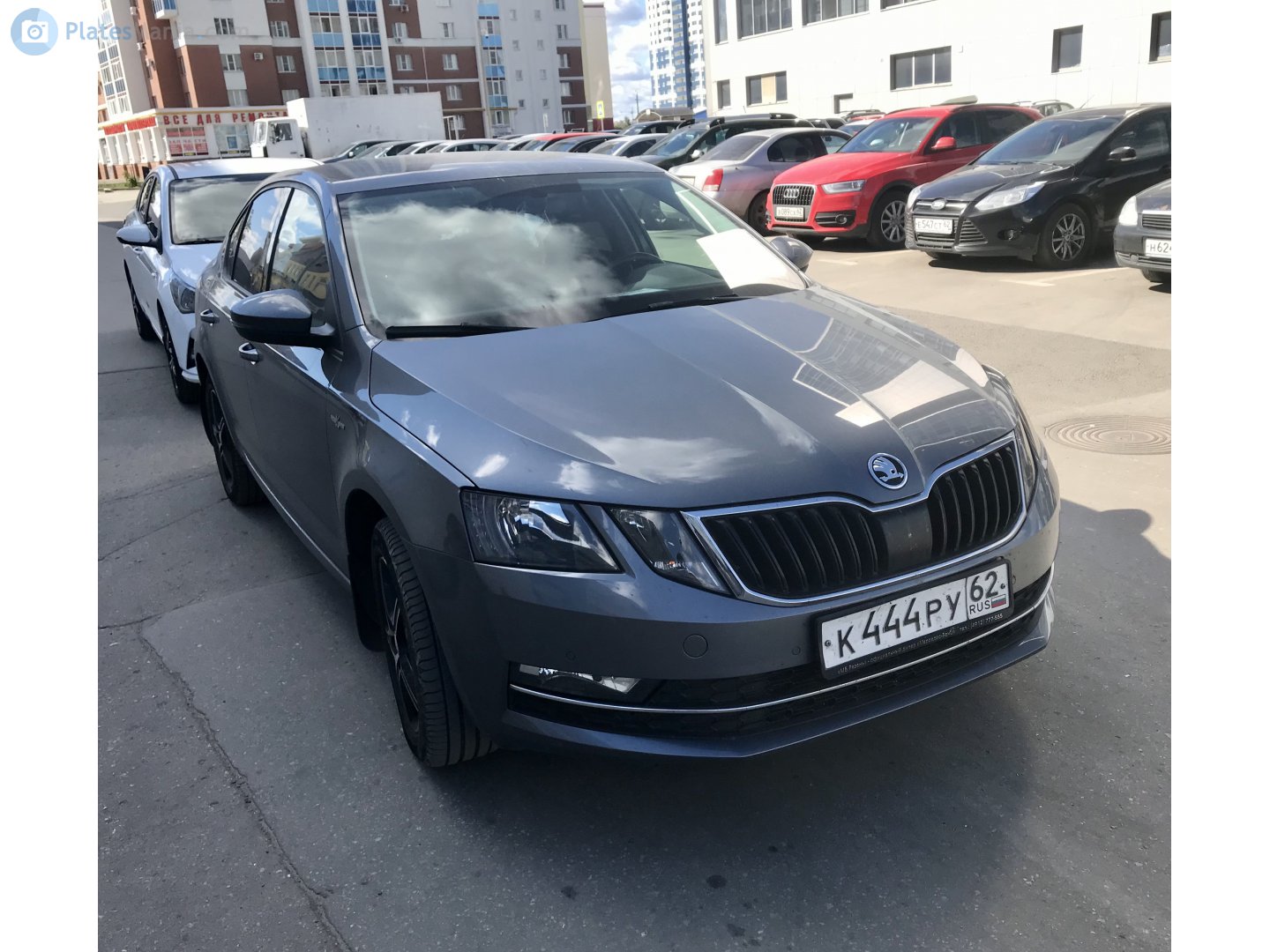 "к 444 ру 62" photos Skoda Octavia. Russia