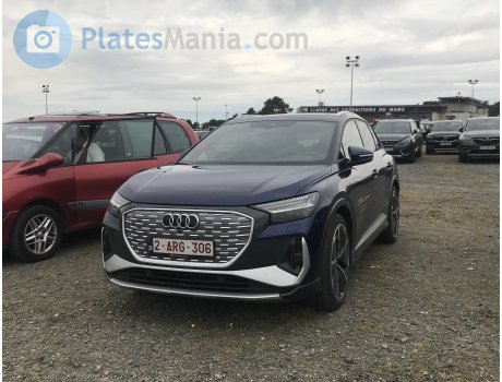 2-ARG-306, Audi Q4 e-tron