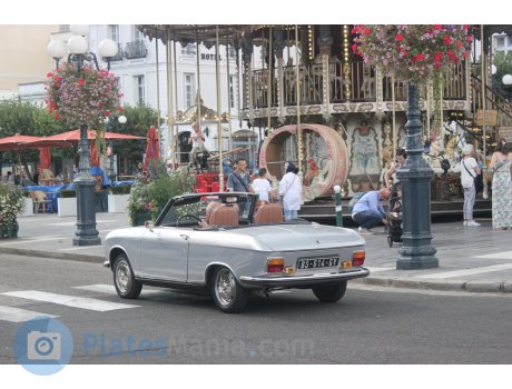 BS-614-GY, Peugeot 304