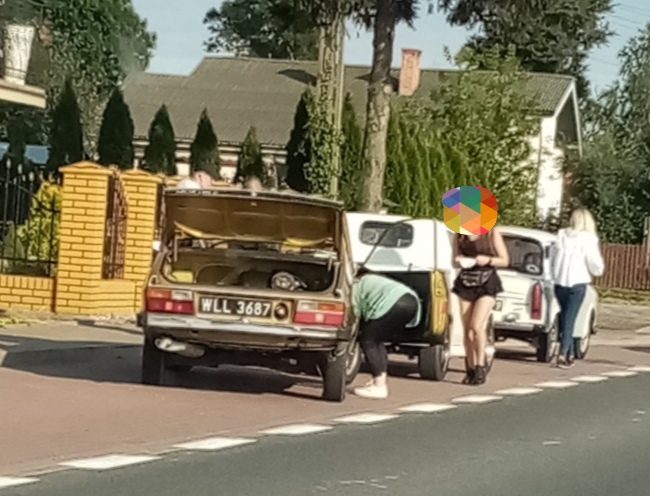 WLL 3687, Dacia 1310 