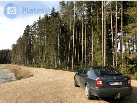 036 BXB, Skoda Octavia
