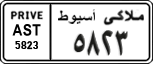 License plate of Egypt, Cars (1999)