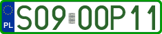 License plates of Poland, Professional plates