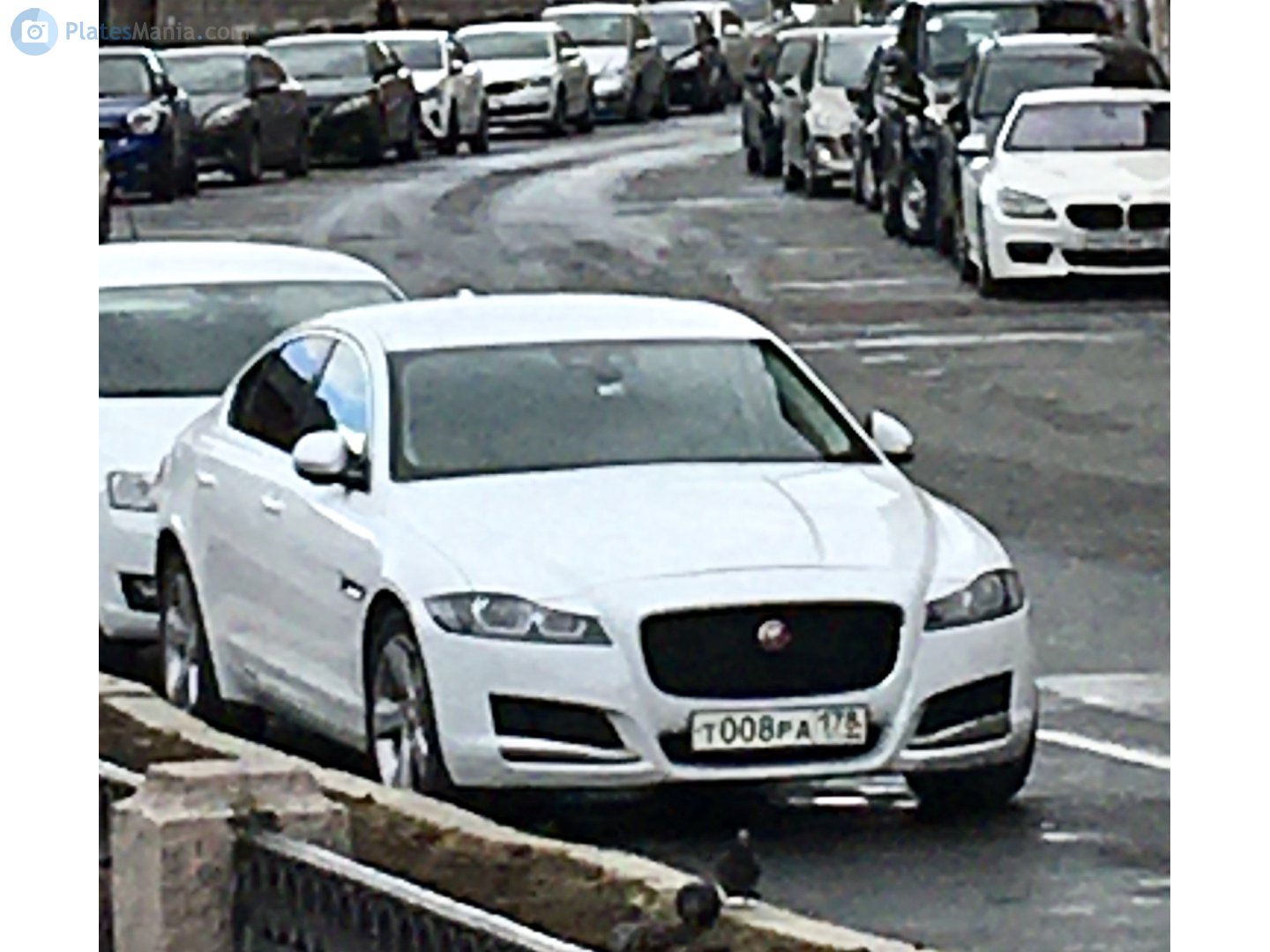 т 008 ра 178, Jaguar XF 2nd gen Sedan (X260), 2015–2024
