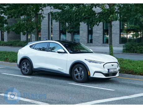 EC 56022, Ford Mustang Mach-E