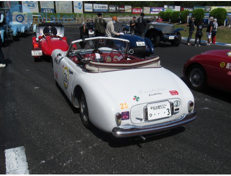名古屋 532 ひ 3, Cisitalia 202