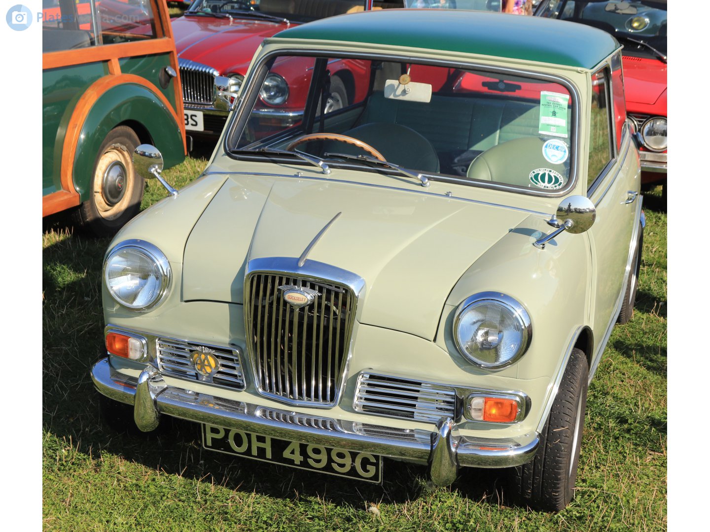POH499G, Wolseley Hornet 