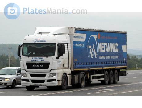 в242ех134, MAN TGX