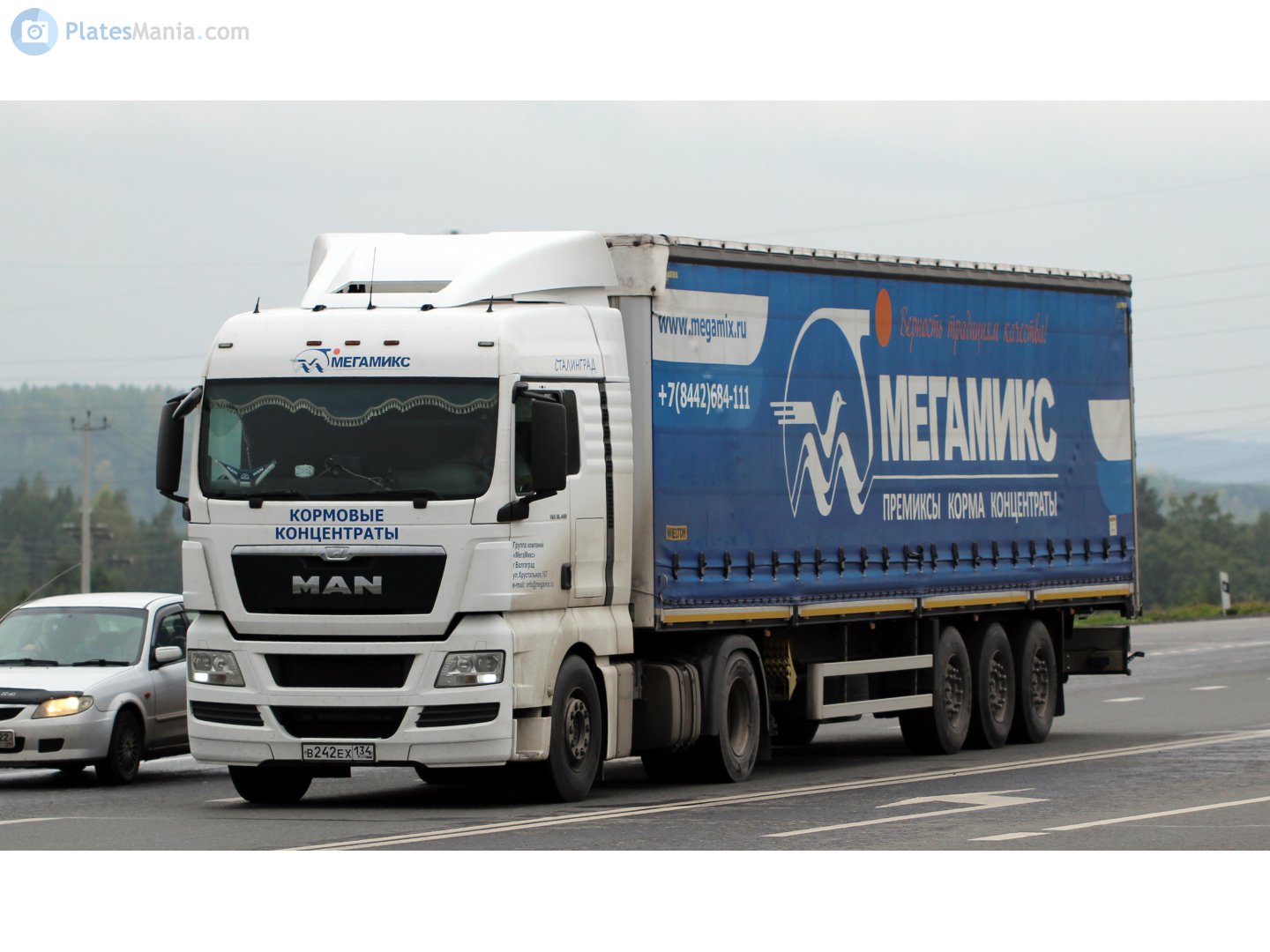 в 242 ех 134, MAN TGX 1st gen, 2007–2021