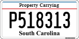 South Carolina, Property Carrying (P123456)