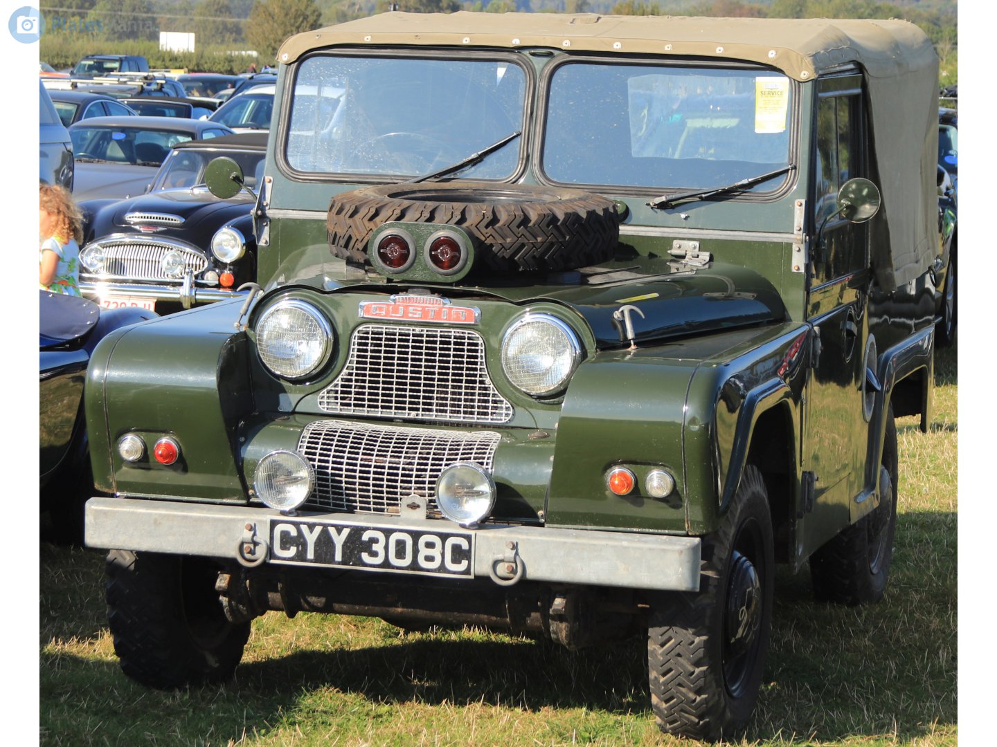 CYY308C, Austin Gipsy 