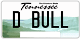 Tennessee, Vanity Plates