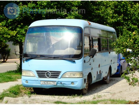 н828му93, Golden Dragon XML6720