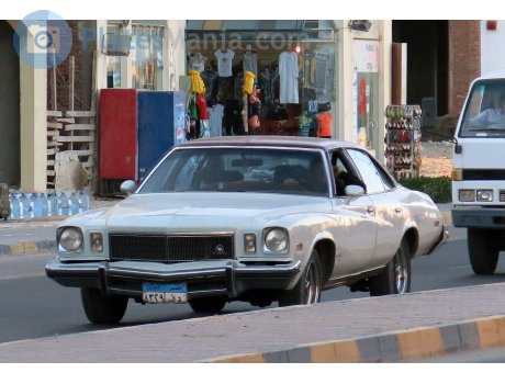 ‎٨٣٢٩‎ ‎د ف‎, Buick Century