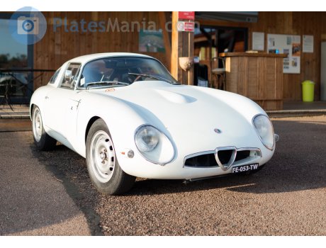 FE-053-TW, Alfa Romeo TZ