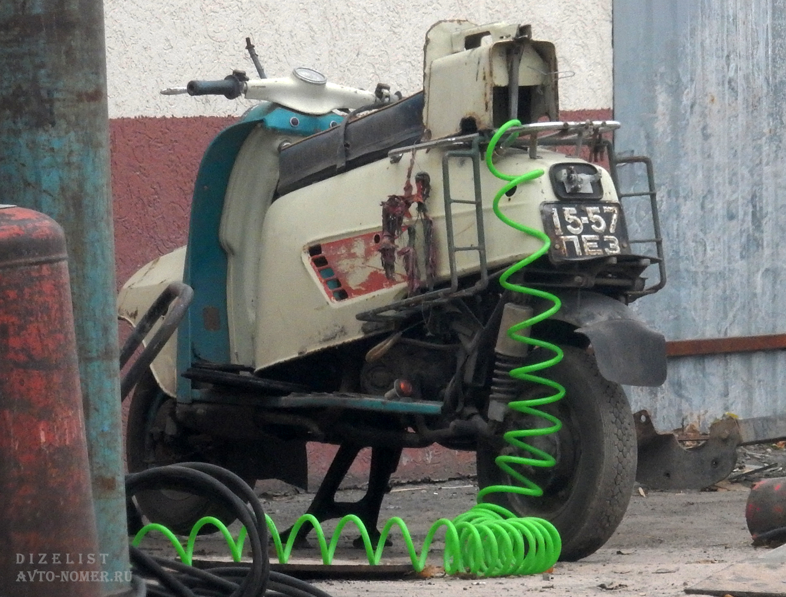 1557 ПЕЗ, TMZ Турист 