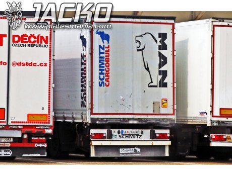 SK 6908 AV, Schmitz SCS