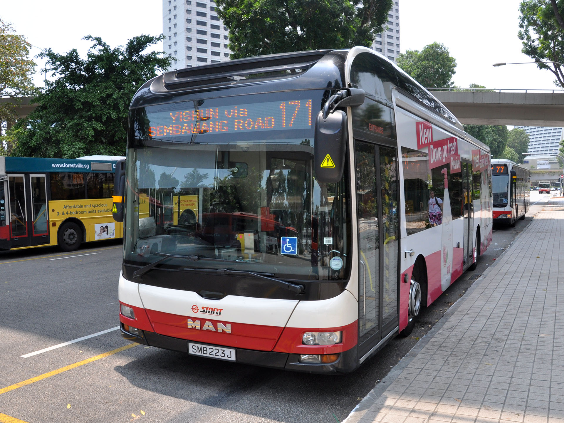 SMB 223 J, Gemilang NL323F 