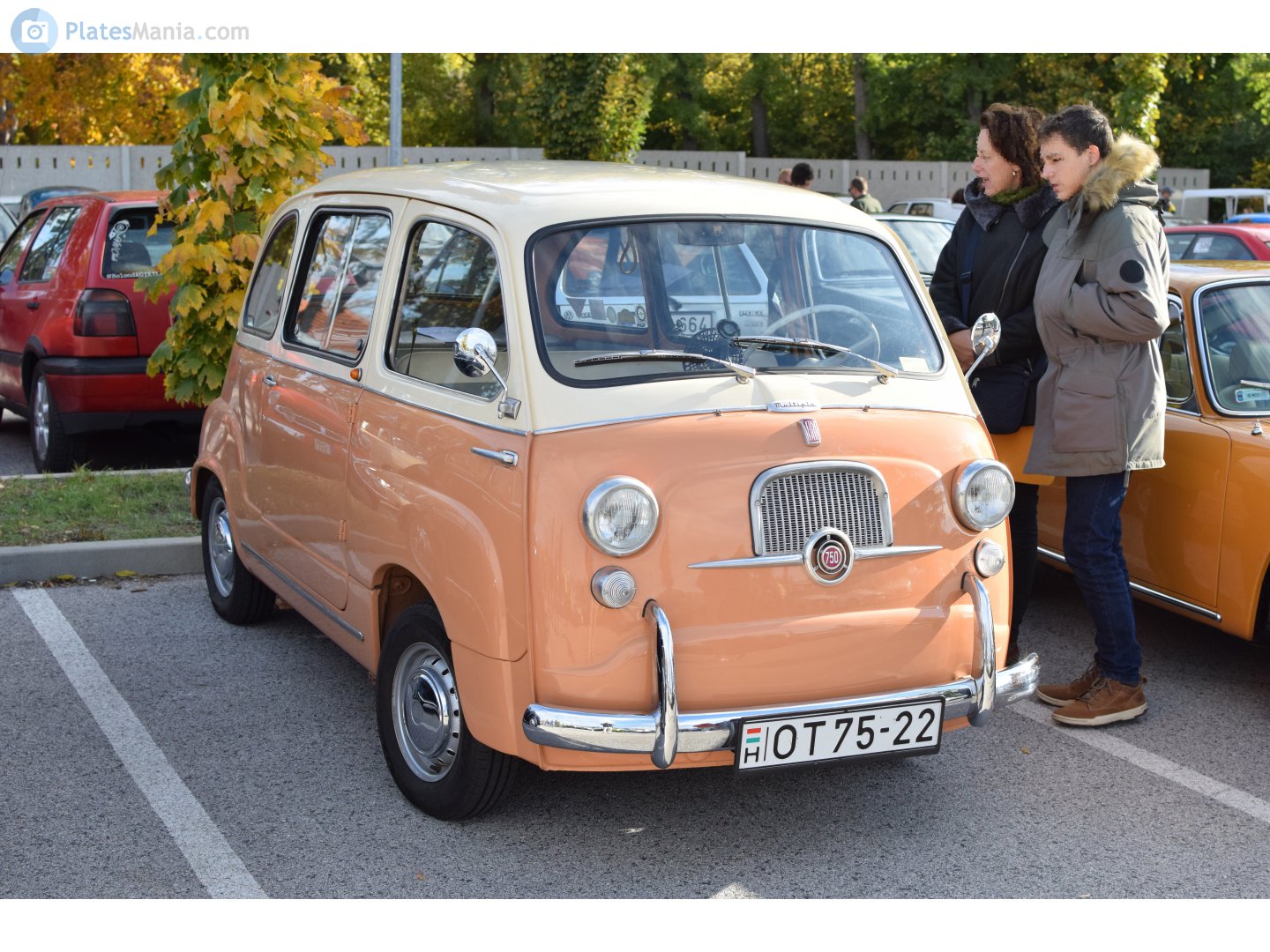 OT 75-22, FIAT 600 Multipla (600D), 1956–1969