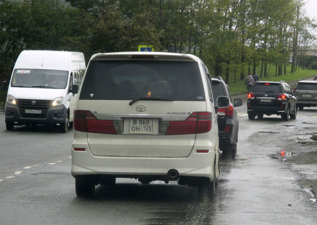 в 060 он 125, Toyota Alphard 1st gen (G/V) (AH10), 2002–2008