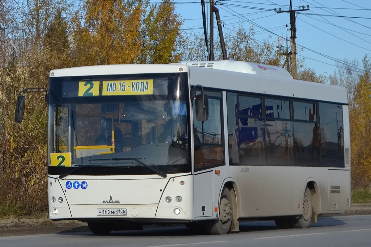 е 162 мс 186, MAZ 206 1st gen, 2006–2021