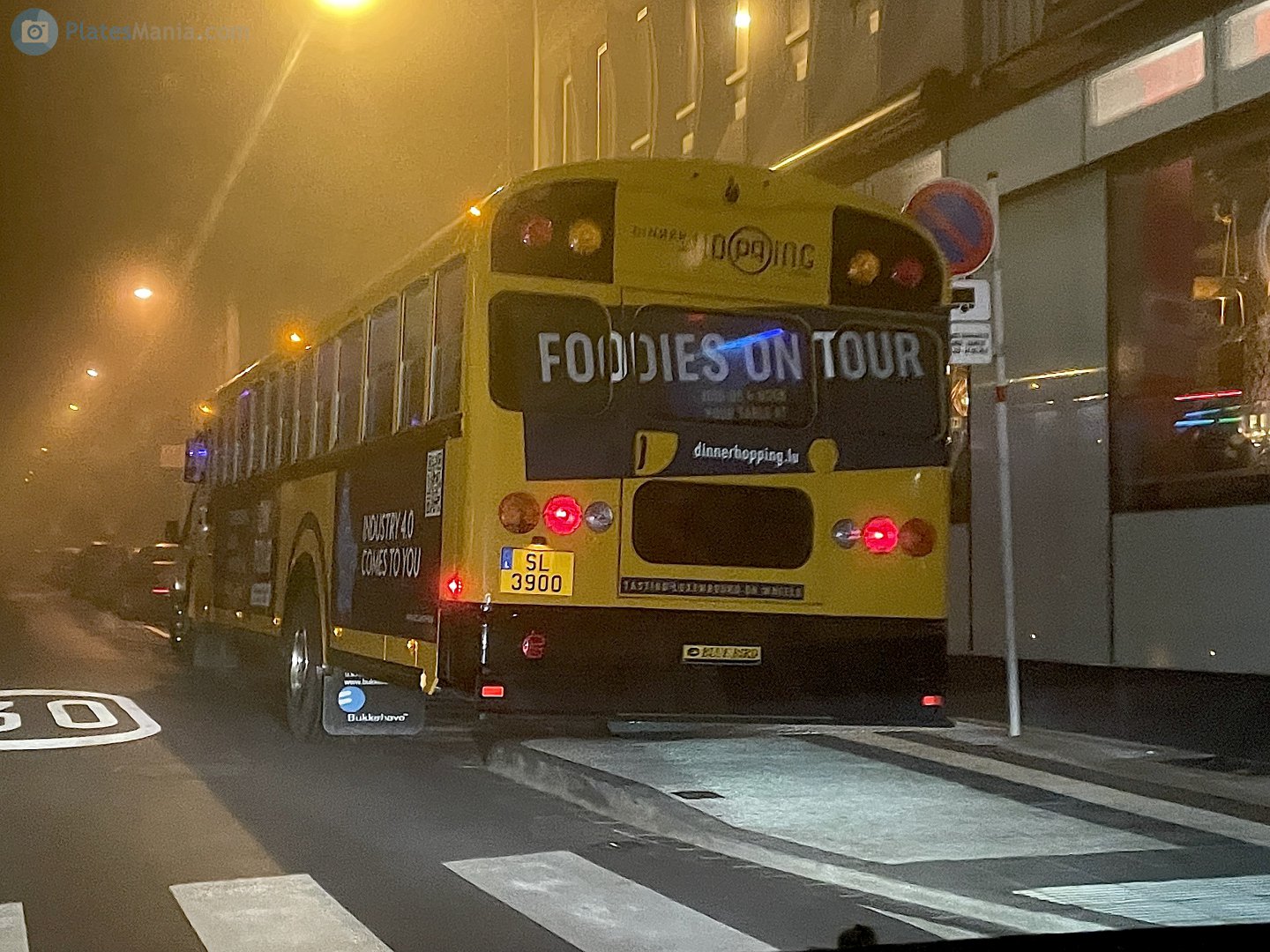 SL 3900, Blue Bird Vision 