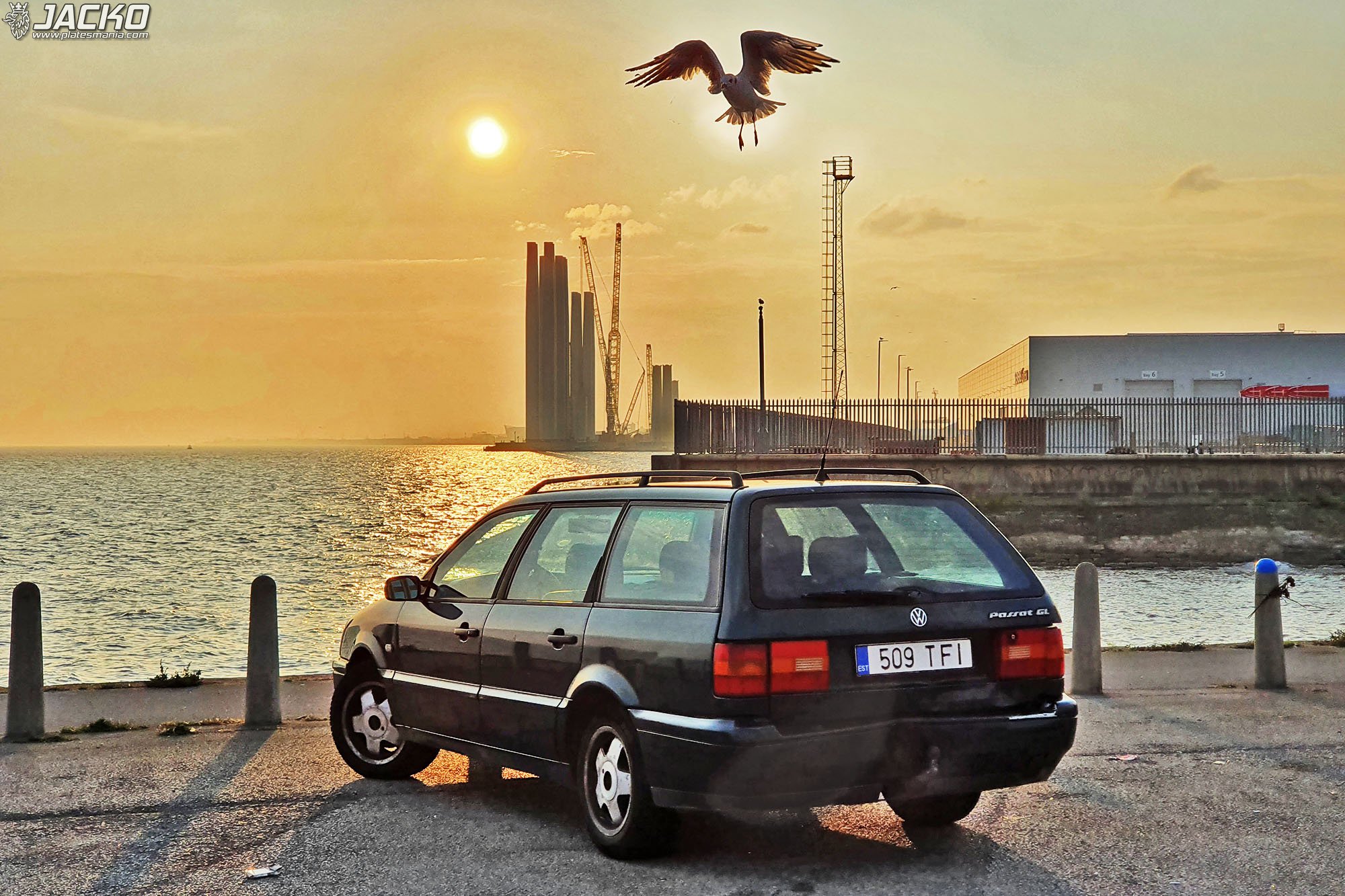 509 TFI, Volkswagen Passat 4th gen Variant (B4; 35i), 1993–1997