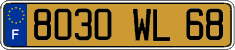 French license plate, FNI
