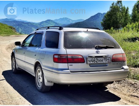 н462нн154, Toyota Camry Gracia